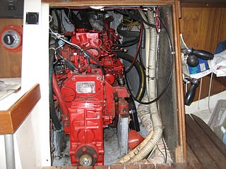 Biankaenginebefore