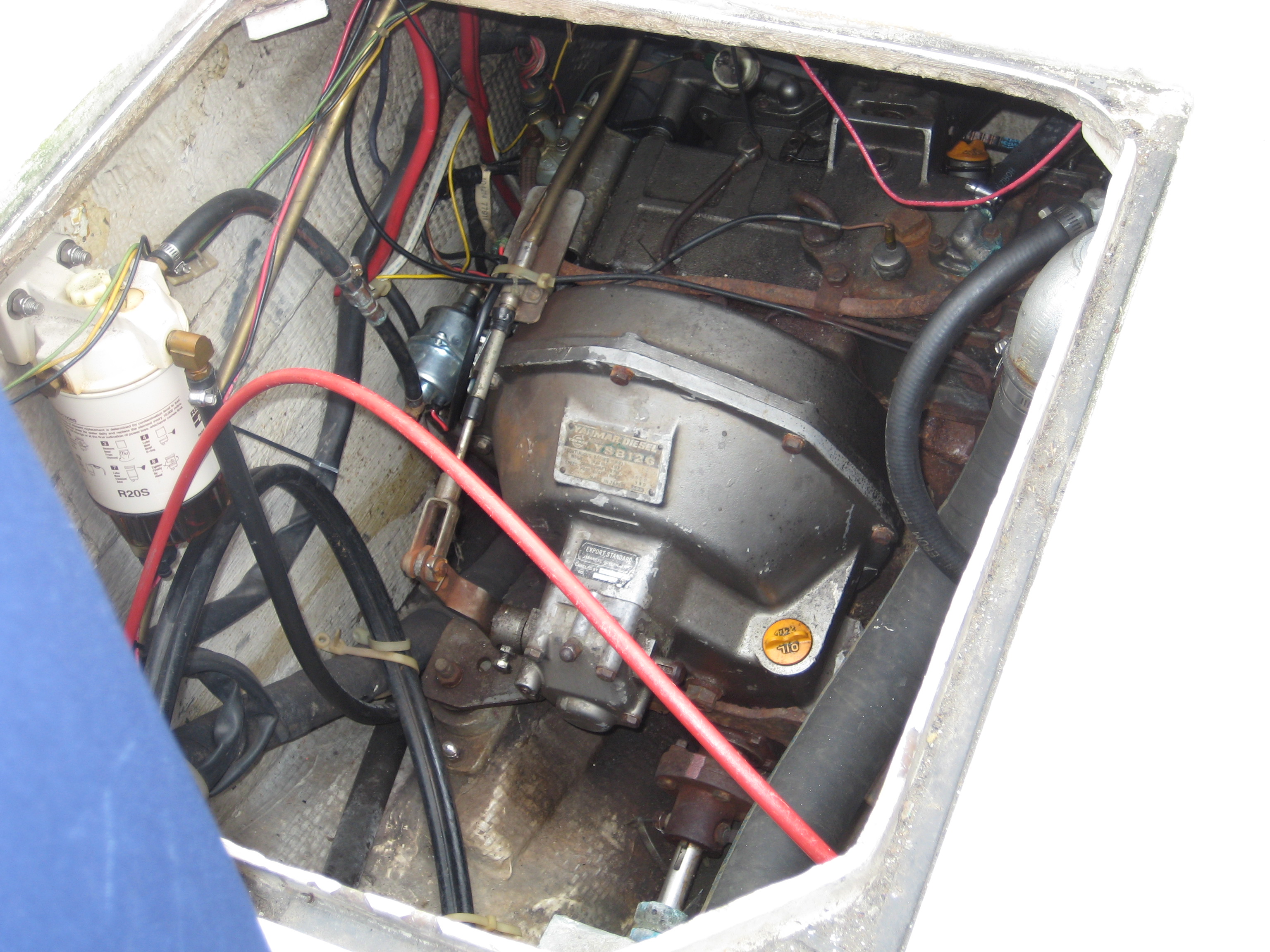 Irwin30before